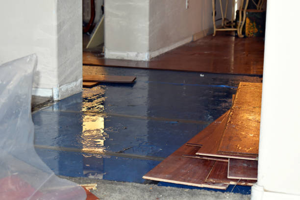 Professional Basement Flood Cleanup technician working in Clyde, TX